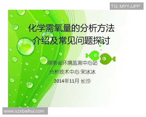 体育俱乐部管理办法的实施与优化探讨及其对运动员发展的影响分析