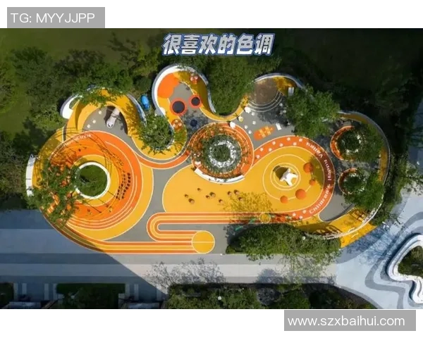 儿童健身器材与体育用品的完美结合助力孩子健康成长与快乐运动